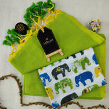 Perrot Handloom Cotton Saree With Designer Blouse